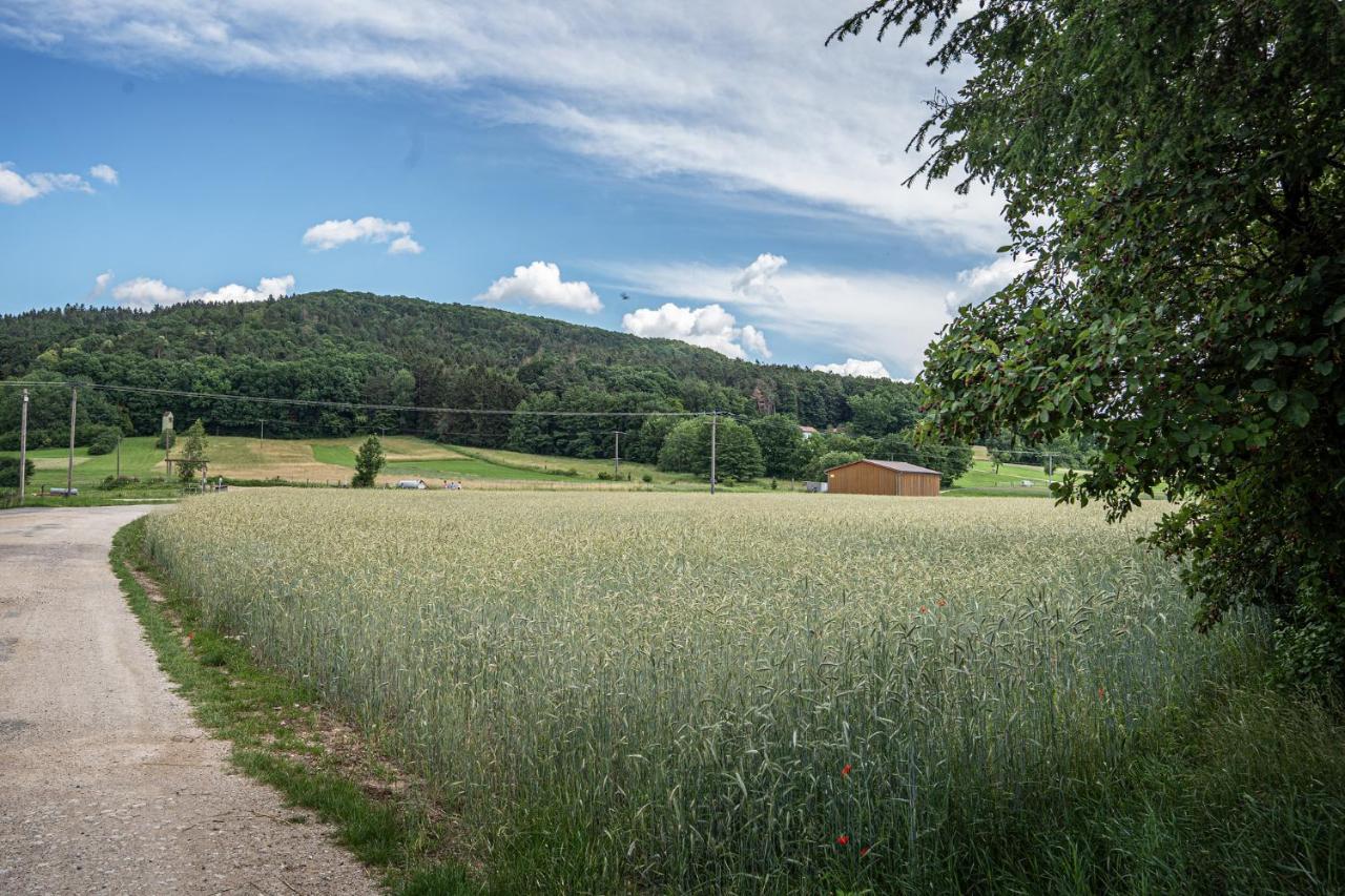 Апартаменты Bleibe Am Moritzberg Haimendorf Экстерьер фото